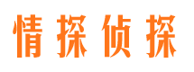 施甸市侦探调查公司